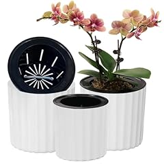 Muzhi orchid pot for sale  Delivered anywhere in USA 