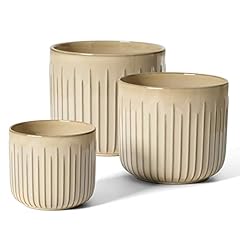 Tauci fluted ceramic for sale  Delivered anywhere in USA 