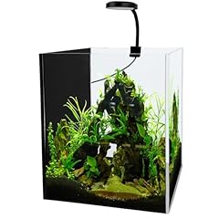 Heurytep glass betta for sale  Delivered anywhere in USA 