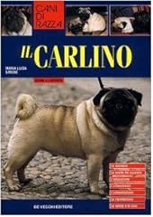 Carlino usato  Spedito ovunque in Italia 