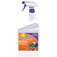 Bonide fung onil for sale  Delivered anywhere in USA 