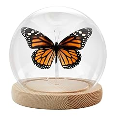 Monarch butterfly framed for sale  Delivered anywhere in USA 