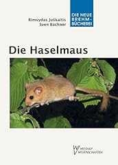 Haselmaus muscardinus avellana gebraucht kaufen  Wird an jeden Ort in Deutschland