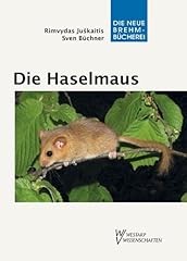 Haselmaus muscardinus avellana gebraucht kaufen  Wird an jeden Ort in Deutschland