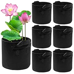 Lily plant pots for sale  Delivered anywhere in USA 