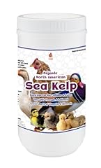 Organic kelp chickens for sale  Delivered anywhere in USA 