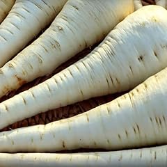 Parsnip seeds tender for sale  Delivered anywhere in UK