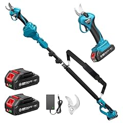 Seesii secateur electrique d'occasion  Livré partout en France