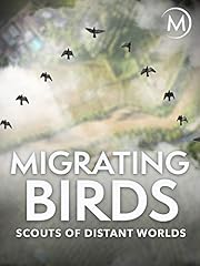 Migrating birds scouts for sale  Delivered anywhere in USA 