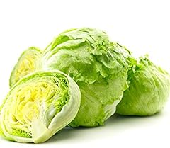 Iceberg head lettuce for sale  Delivered anywhere in USA 