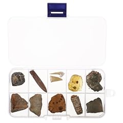 10pcs assorted paleontological for sale  Delivered anywhere in USA 