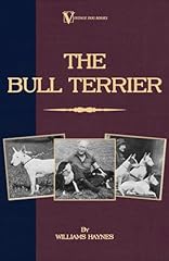 Bull terrier for sale  Delivered anywhere in USA 