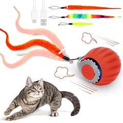 Ruiday palla interattiva usato Ruiday palla interattiva usato  Spedito ovunque in Italia