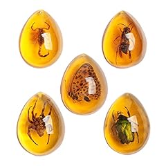 Acxico 5pcs amber for sale  Delivered anywhere in USA 