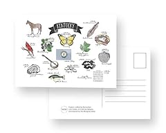 Kentucky postcards set for sale  Delivered anywhere in USA 
