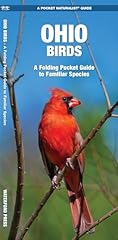 Ohio birds folding for sale  Delivered anywhere in USA 
