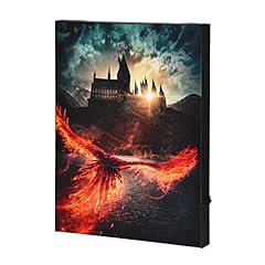 Elbenwald harry potter gebraucht kaufen  Wird an jeden Ort in Deutschland