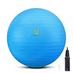 Primasole exercise ball for sale  Delivered anywhere in USA 