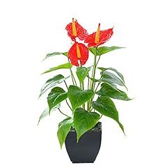 Artificial flower calla for sale  Delivered anywhere in USA 