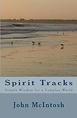 Spirit tracks simple usato  Spedito ovunque in Italia 