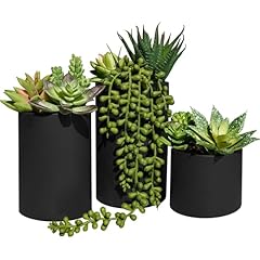 Winlyn set assorted for sale  Delivered anywhere in USA 