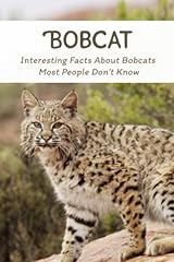 Bobcat interesting facts for sale  Delivered anywhere in USA 