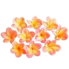 Xilyya 10pcs natural for sale  Delivered anywhere in USA 