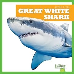 Great white shark d'occasion  Livré partout en France