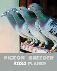 Pigeon breeder pigeon for sale  Delivered anywhere in UK