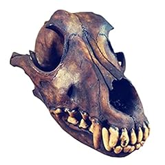 Taxidermy real animal usato  Spedito ovunque in Italia 