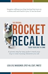Original rocket recall for sale  Delivered anywhere in UK