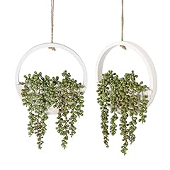 Floweroyal 2pcs Artificial Succulents Hanging Plants for sale  Delivered anywhere in UK