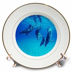 3drose 39010 dolphins for sale  Delivered anywhere in USA 