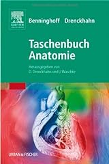 Benninghoff taschenbuch anatom gebraucht kaufen  Wird an jeden Ort in Deutschland