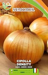 Cipolla density con usato  Spedito ovunque in Italia 
