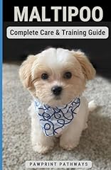 Maltipoo complete care for sale  Delivered anywhere in USA 