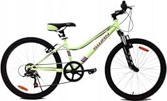 Bdw bicicletta mtb usato  Spedito ovunque in Italia 