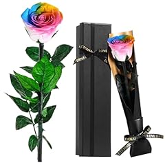 Ewige regenbogenrose echtem gebraucht kaufen  Wird an jeden Ort in Deutschland