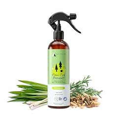 Kin kind plant for sale  Delivered anywhere in USA 