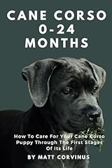 Cane corso months for sale  Delivered anywhere in USA 