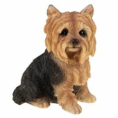 Sidco yorkshire terrier gebraucht kaufen  Wird an jeden Ort in Deutschland