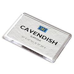 Fridge magnet cavendish for sale  Delivered anywhere in UK