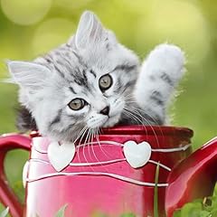 Beautiful pics for sale  Delivered anywhere in UK