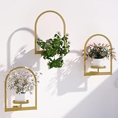 Flenpptly wall plant for sale  Delivered anywhere in USA 