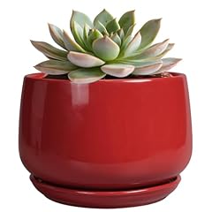 Epgardening ceramic pot for sale  Delivered anywhere in USA 