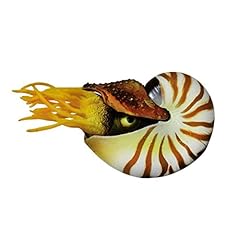 Toddmomy mediterranean style for sale  Delivered anywhere in UK