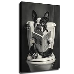 Boston terrier sitting for sale  Delivered anywhere in USA 