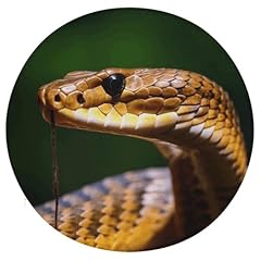 Aqrjlpm cobra snake for sale  Delivered anywhere in UK