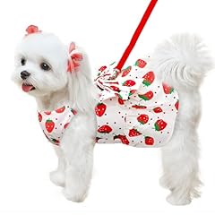 Abrrlo cute dog for sale  Delivered anywhere in USA 