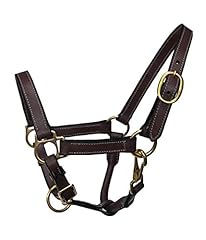Equitem miniature horse for sale  Delivered anywhere in USA 